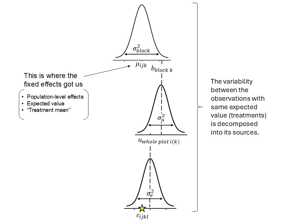 Intuitive visualization of a split-plot design model as a hierarchical (multilevel) model.